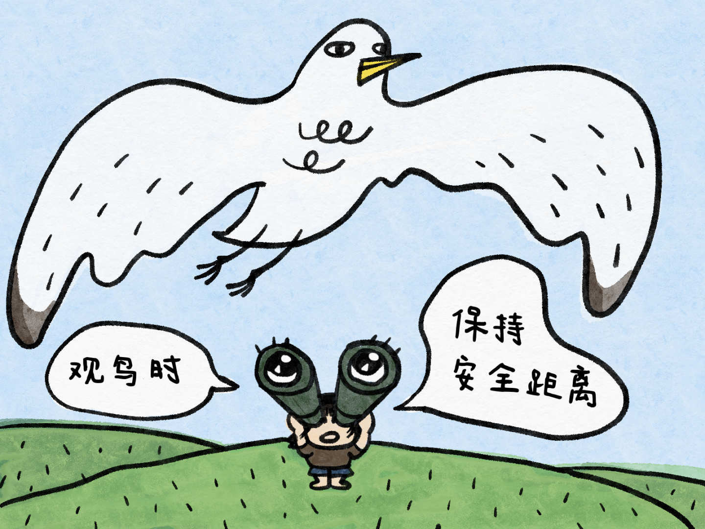 观鸟