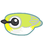 观鸟指南