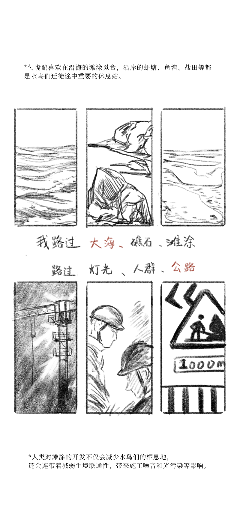 勺嘴鹬