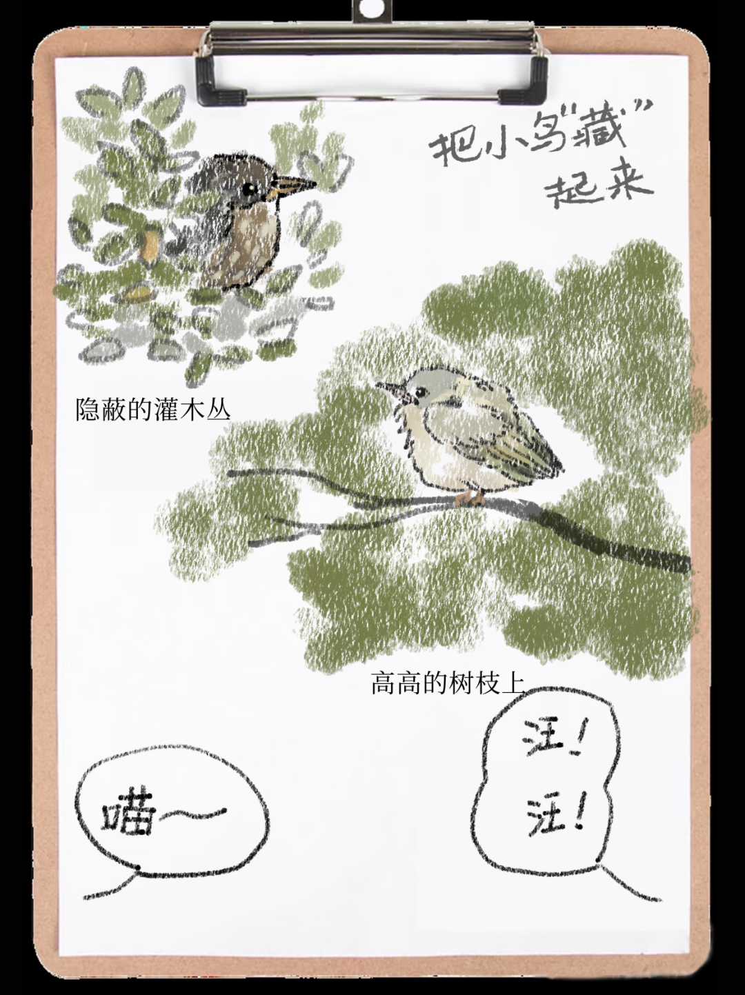城市鸟撞防护