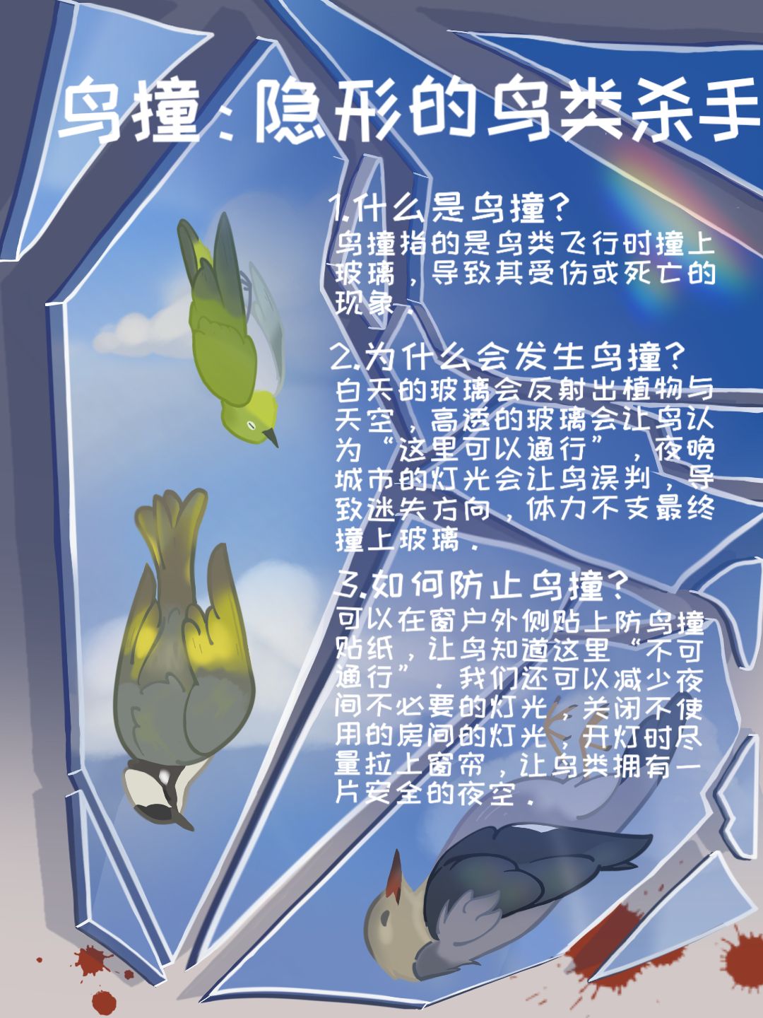 城市鸟撞防护