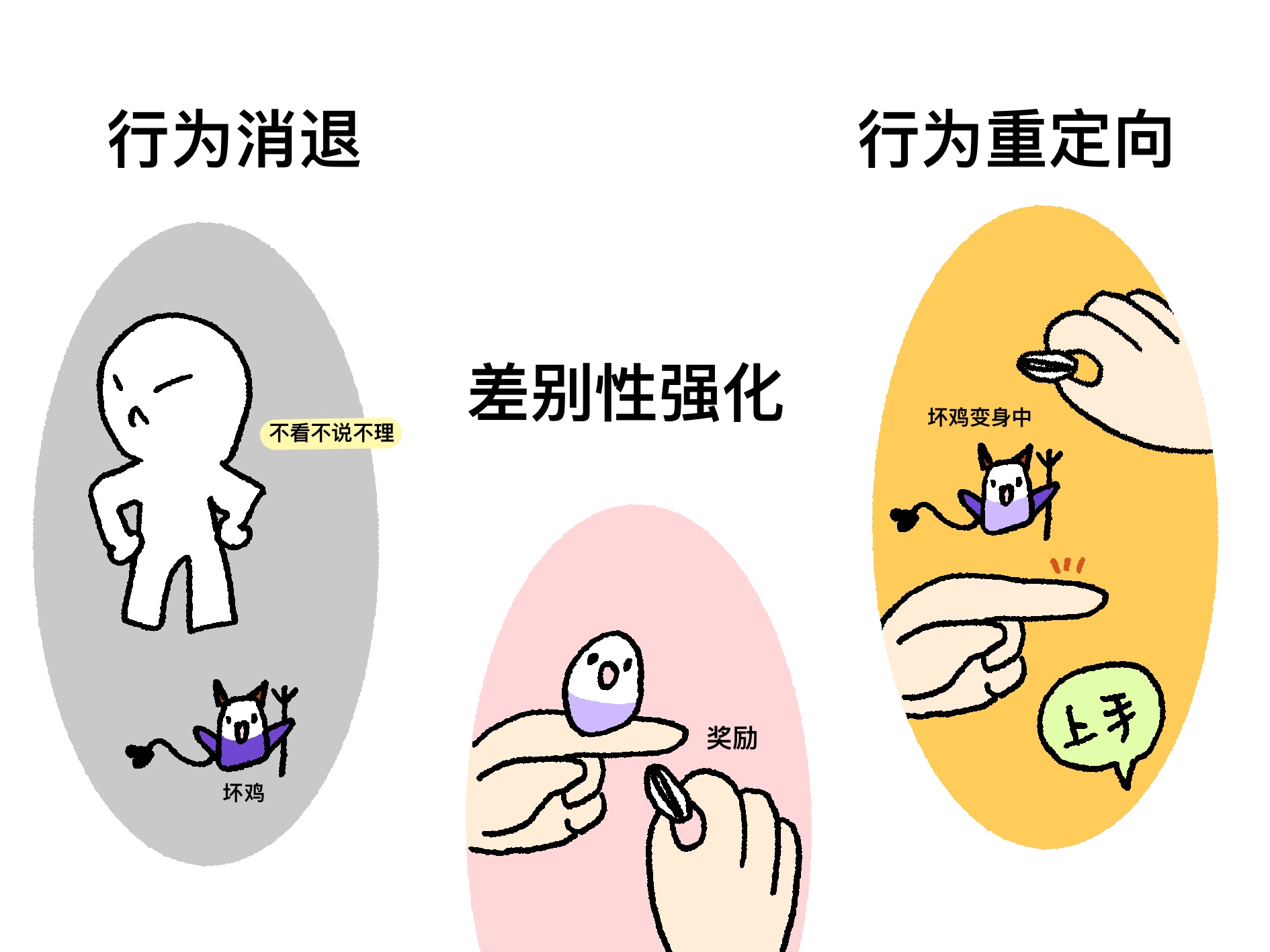 6科学矫正3原则