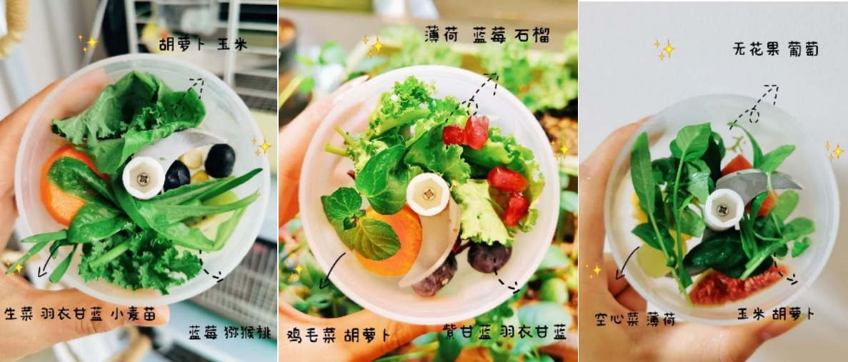 啾星互助网