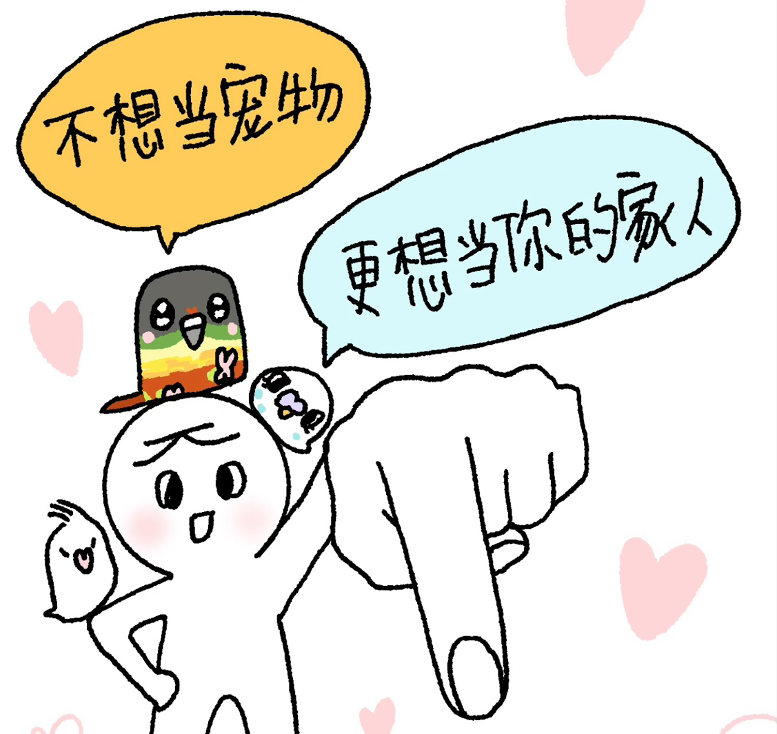 饲养宠物鸟入门：人，你真的准备好养鸟了吗？